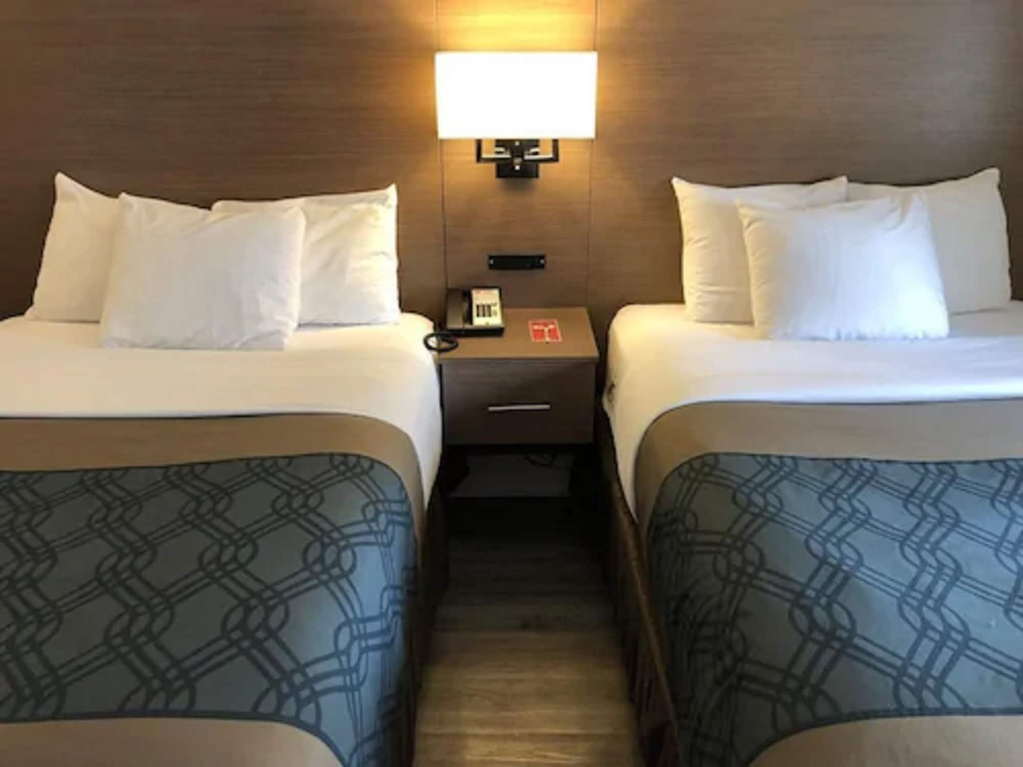 Econo Lodge Inn & Suites Downtown Торонто Екстер'єр фото
